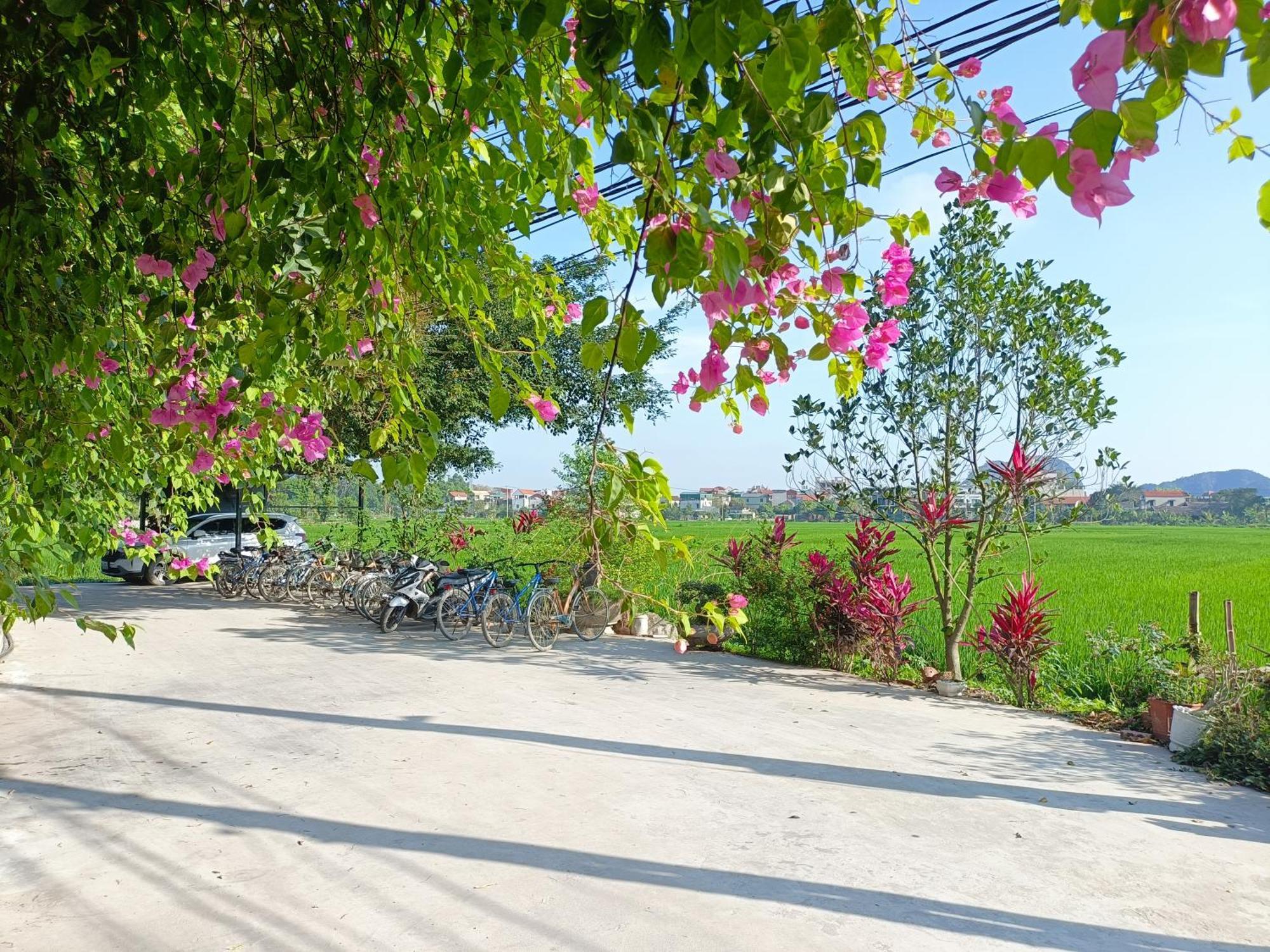 Tam Coc Sunshine Homestay Νιν Μπιν Εξωτερικό φωτογραφία