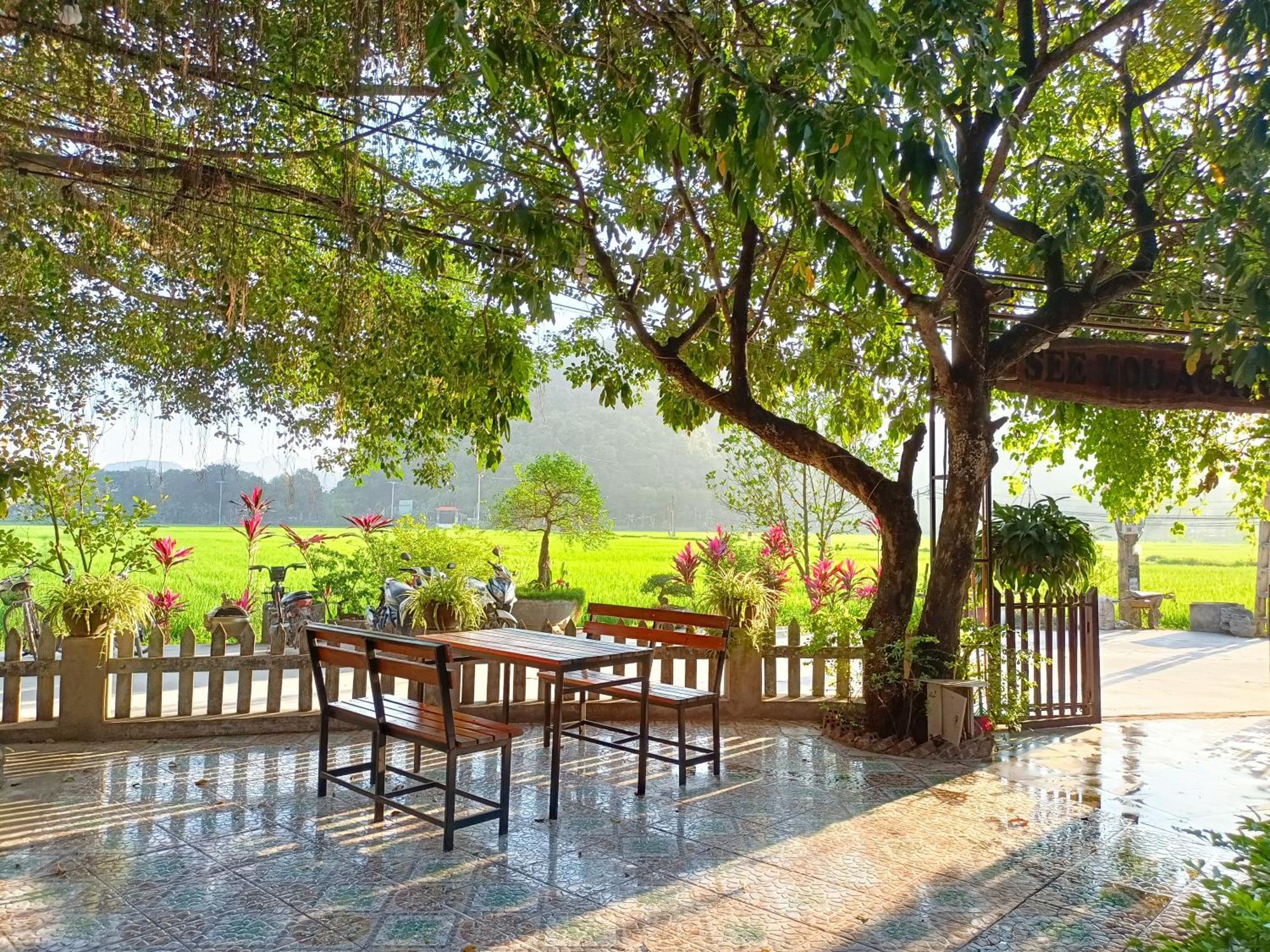 Tam Coc Sunshine Homestay Νιν Μπιν Εξωτερικό φωτογραφία