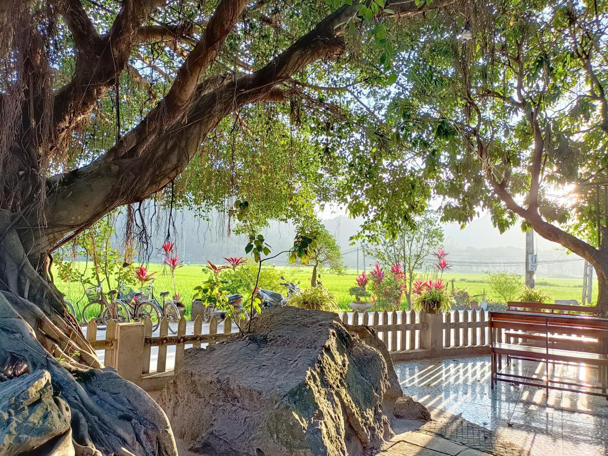 Tam Coc Sunshine Homestay Νιν Μπιν Εξωτερικό φωτογραφία