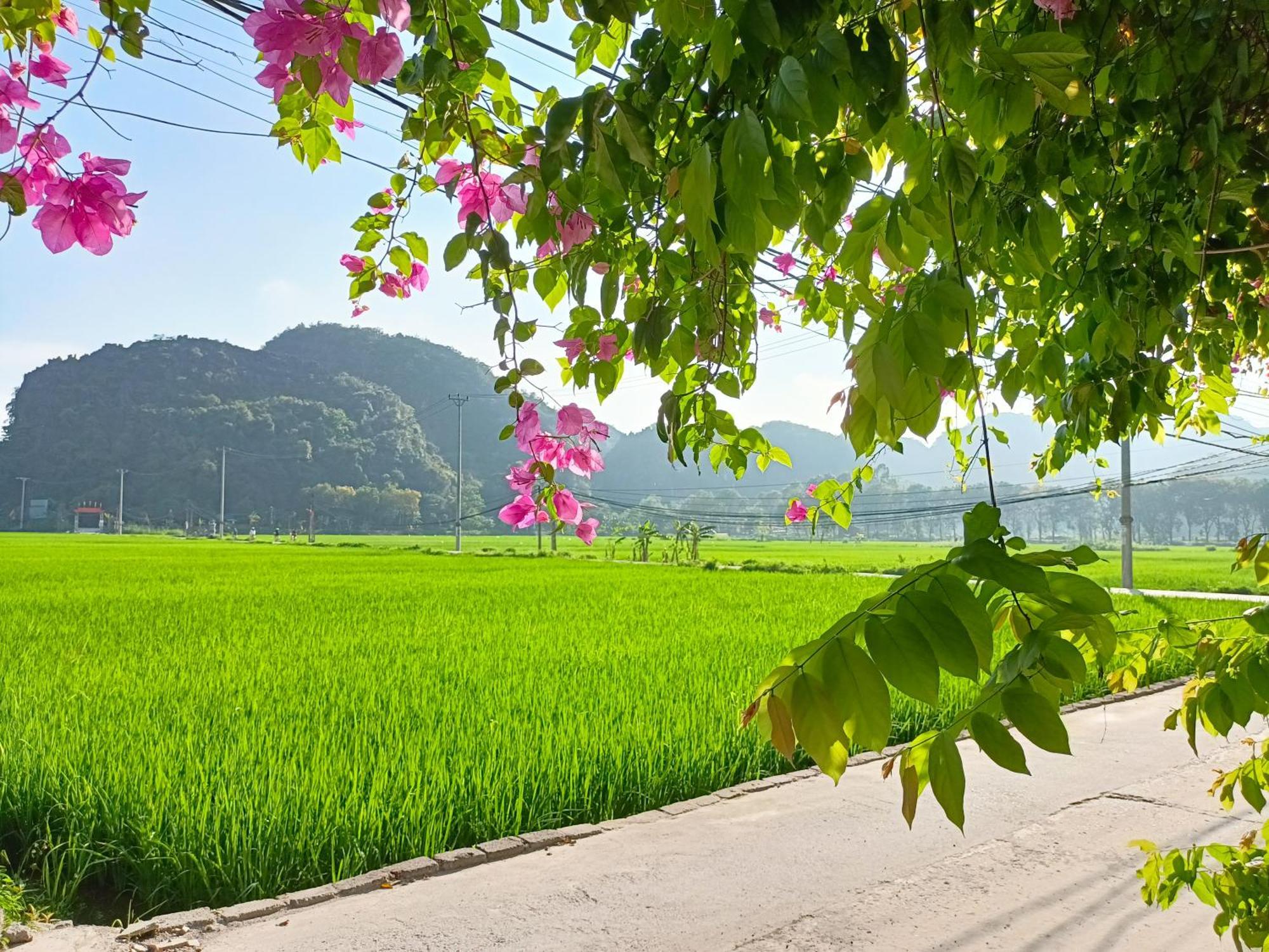 Tam Coc Sunshine Homestay Νιν Μπιν Εξωτερικό φωτογραφία