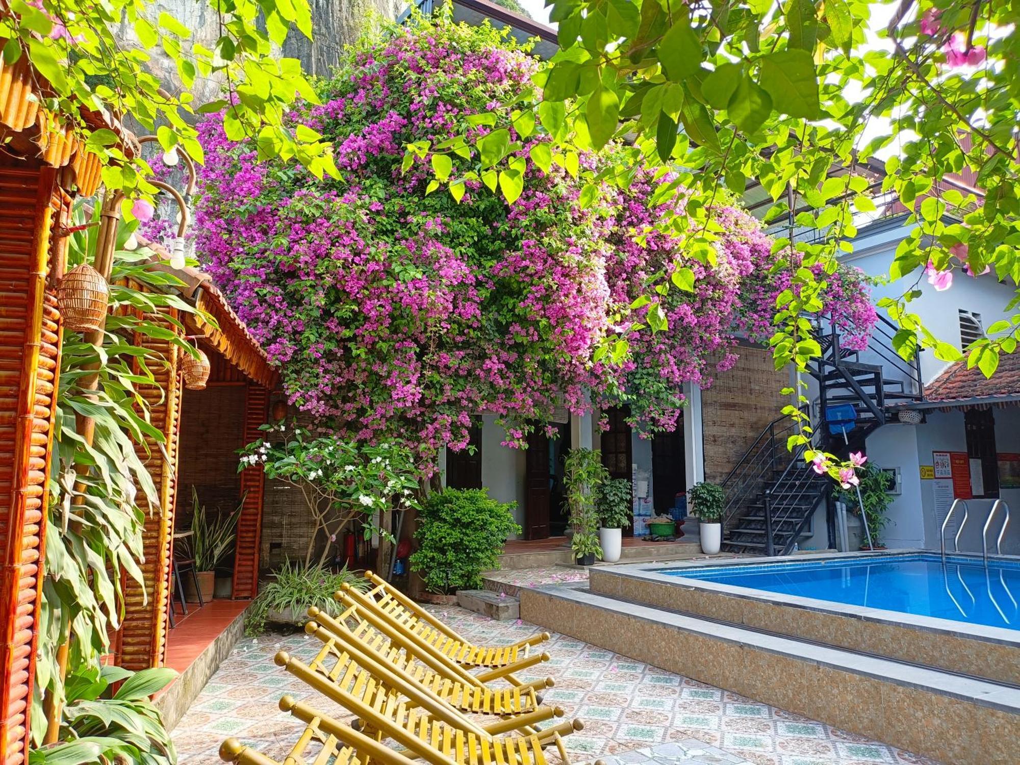Tam Coc Sunshine Homestay Νιν Μπιν Εξωτερικό φωτογραφία